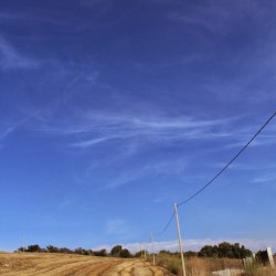 balle di fieno patrizia graziano